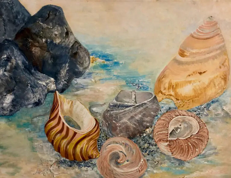 shells, sand, sea water, contemporary