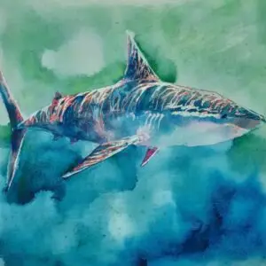 watercolour painting of a shark swimming underwater, blue, green