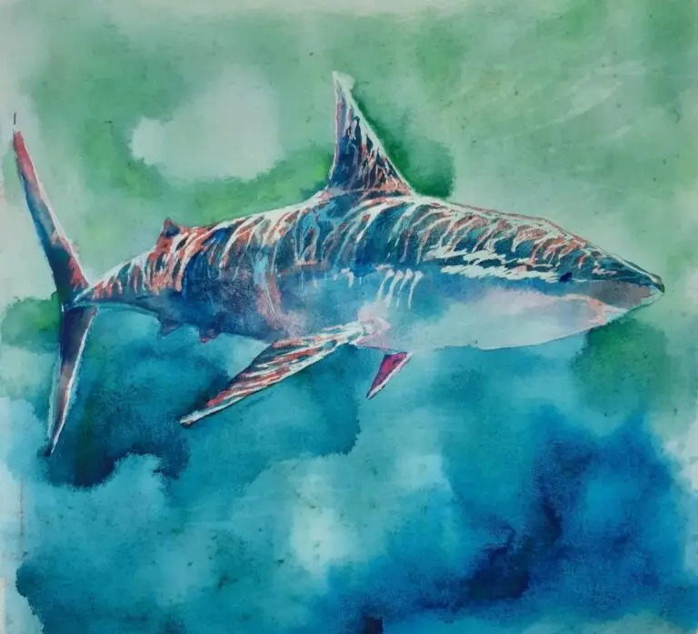 watercolour painting of a shark swimming underwater, blue, green