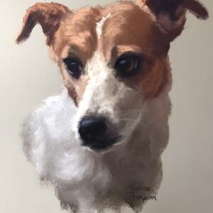 Pastel, animal portraits, workshop,