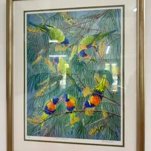 watercolour, rainbow lorikeets, wattle flowers