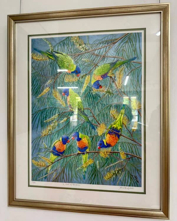 watercolour, rainbow lorikeets, wattle flowers