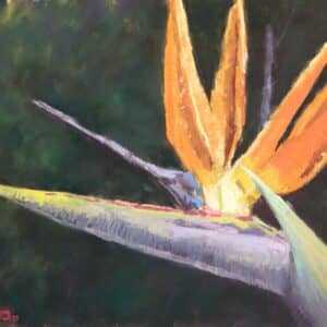 Underpainting with Karol Oakley -Nov 22 & 23