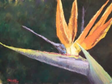 Underpainting pastels with Karol Oakley - November 22 & 23