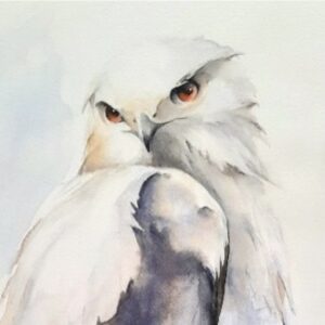 Ruffle Some Feathers with Stacey Petersen - August 9
