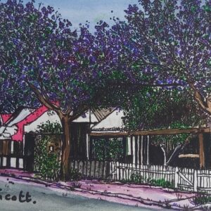 Sydney in November by Angela Gannicott