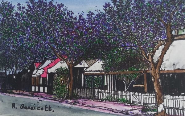 Sydney in November by Angela Gannicott